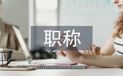 職稱工作總結