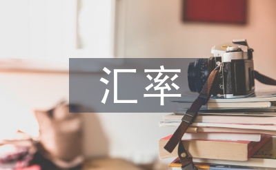 匯率風險論文