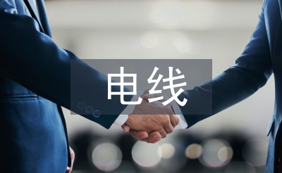電線調(diào)查報告
