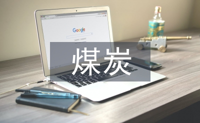 煤炭發言稿
