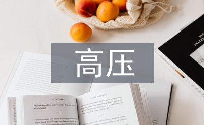 高壓電力技術(shù)