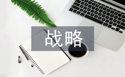 戰略營銷論文