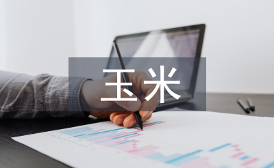 玉米調查報告
