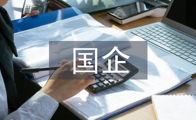 國企黨建工作匯報材料