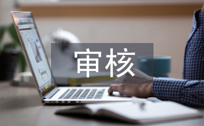 審核崗位實習個人總結