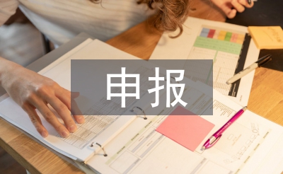 申報工程師個人總結