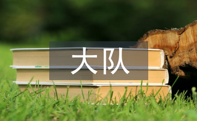 大隊輔導員述職報告