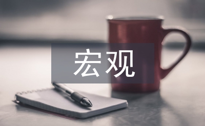 宏觀經(jīng)濟(jì)管理論文