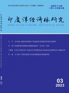 印度洋經濟體研究