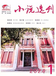 小說選刊