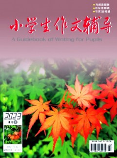 小學生作文輔導