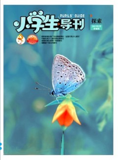 小學生導刊·中年級